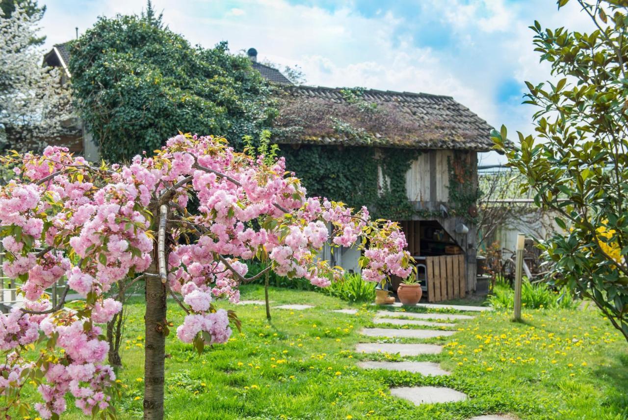 Villa Sonnenschein Terlano Εξωτερικό φωτογραφία