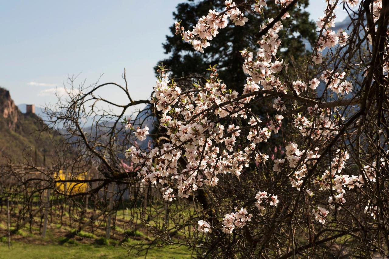 Villa Sonnenschein Terlano Εξωτερικό φωτογραφία